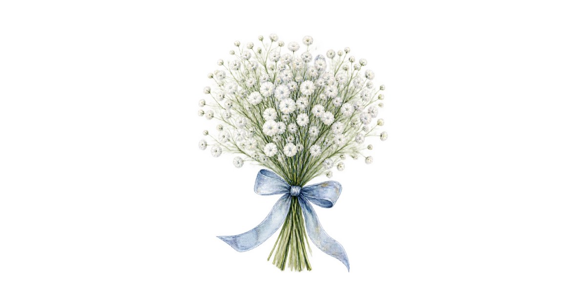 Baby's Breath Bouquet (Watercolor) Clipart — Free Transparent PNG | InfyPNG