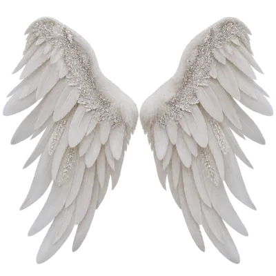 Dragon Wings Clipart — Free Transparent PNG | InfyPNG